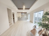  新築一戸建て