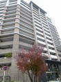  マンション