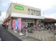 コープ今泉