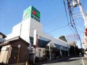 マルエツ東大宮店