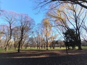 都立小金井公園