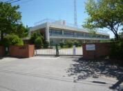 川口市立里小学校