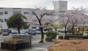 東松山市立桜山小学校