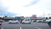 角上魚類 大宮店