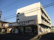 桜整形外科内科