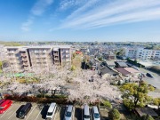 椿峰ニュータウン６２街区１号棟【中古マンション】
