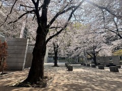 グランプラド国分寺【】