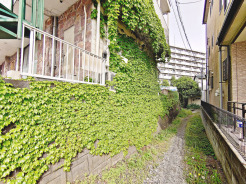 現地土地写真
