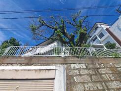 三鷹市大沢４丁目