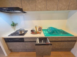 毎日の家事をサポートしてくれる食洗器も標準に装備。ちょっと嬉しい設備です
