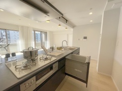 毎日の家事をサポートしてくれる食洗器も標準に装備。ちょっと嬉しい設備です
