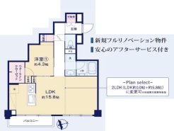 大きな1LDKの間取り