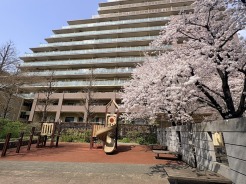 桜がキレイなマンションの中庭スペース。小さなお子様も遊べる遊具があります。