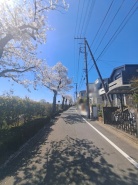 府中市小柳町５丁目
