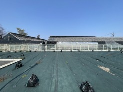 国分寺市西町３丁目