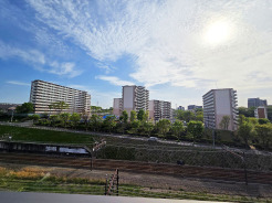 お家からの眺望です。開放感のある眺め。
