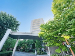 自然に恵まれた豊かな緑と美しいロケーションが特徴です。穏やかな暮らしやリラックスした健康的な生活が送れそう。日々の喧騒から離れ、自然に囲まれた癒しの場所はいかがでしょうか。

