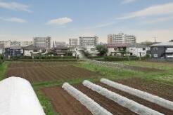 本物件の南側、生産緑地を望む