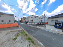 1号地 