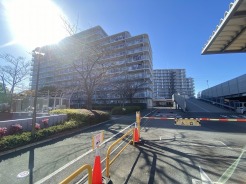 都会の喧騒から離れ、静かで落ち着いた日常がここにはあります。