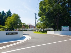 蓮田市緑町２丁目