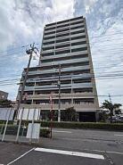 完成物件だから、引っ越したあとの配置や動線も分かりやすい。
