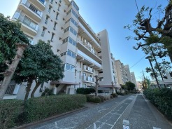 新座市野火止１丁目