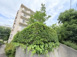 完成物件だから、引っ越したあとの配置や動線も分かりやすい。
