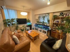 新宿区中落合２丁目