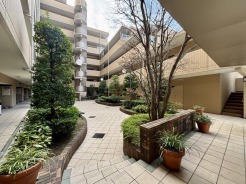 中野区中央１丁目