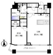 新宿区西新宿6丁目