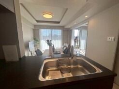 文京区小石川１丁目