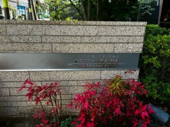 文京区小石川３丁目