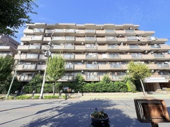 川口市西青木５丁目