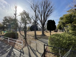 木漏れ日が心地よい、穏やかな緑の空間