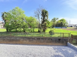 南側には庭スペースと緑が広がるダイニングからの開放的な眺めです。