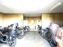 整然と並べられた自転車が、日常の活動を静かに見守る空間