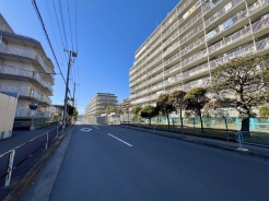 広々とした空の下、緑豊かな並木道が穏やかな日常へと誘います。
