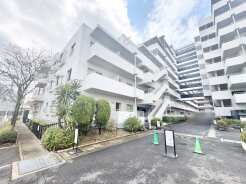 緑に囲まれた、すっきりとした印象の建物です。