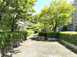 緑豊かな並木道が、心地よい安らぎの空間へと誘います