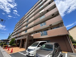 空へと堂々と伸びる佇まいが、日々の暮らしに安心感と確かな存在感をもたらします。