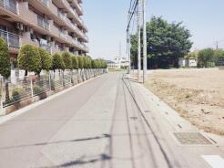 A号地 