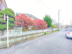 前面道路を含む現地写真
