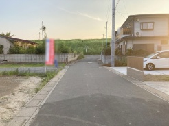 3号地 