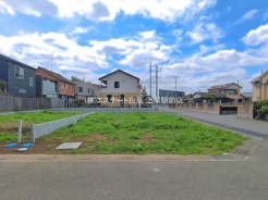 3号地 