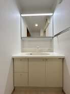 化粧台はやっぱり色が一番。シャワーヘッド付きの収納充実タイプです。
