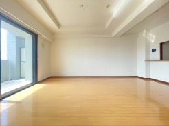 南から明るい光が射し込む、陽だまりの空間。
 