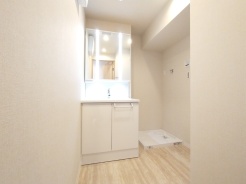 化粧台はやっぱり色が一番。シャワーヘッド付きの収納充実タイプです。
