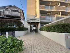 キレイにお掃除されています