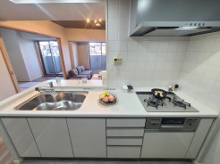 機能的で整然とした空間が、日々の暮らしに心地よさを添えます。